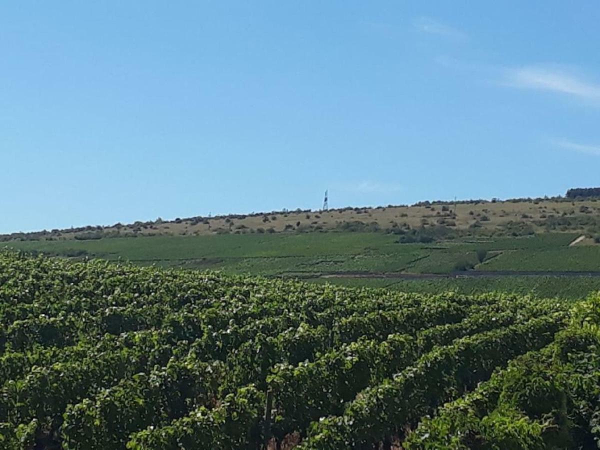 La Layotte Villa Vosne-Romanée Kültér fotó