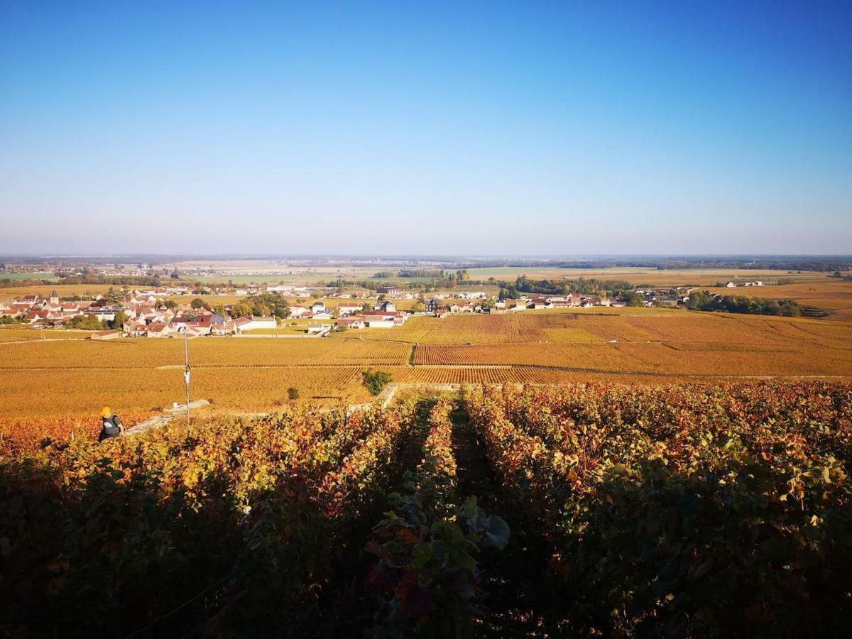 La Layotte Villa Vosne-Romanée Kültér fotó